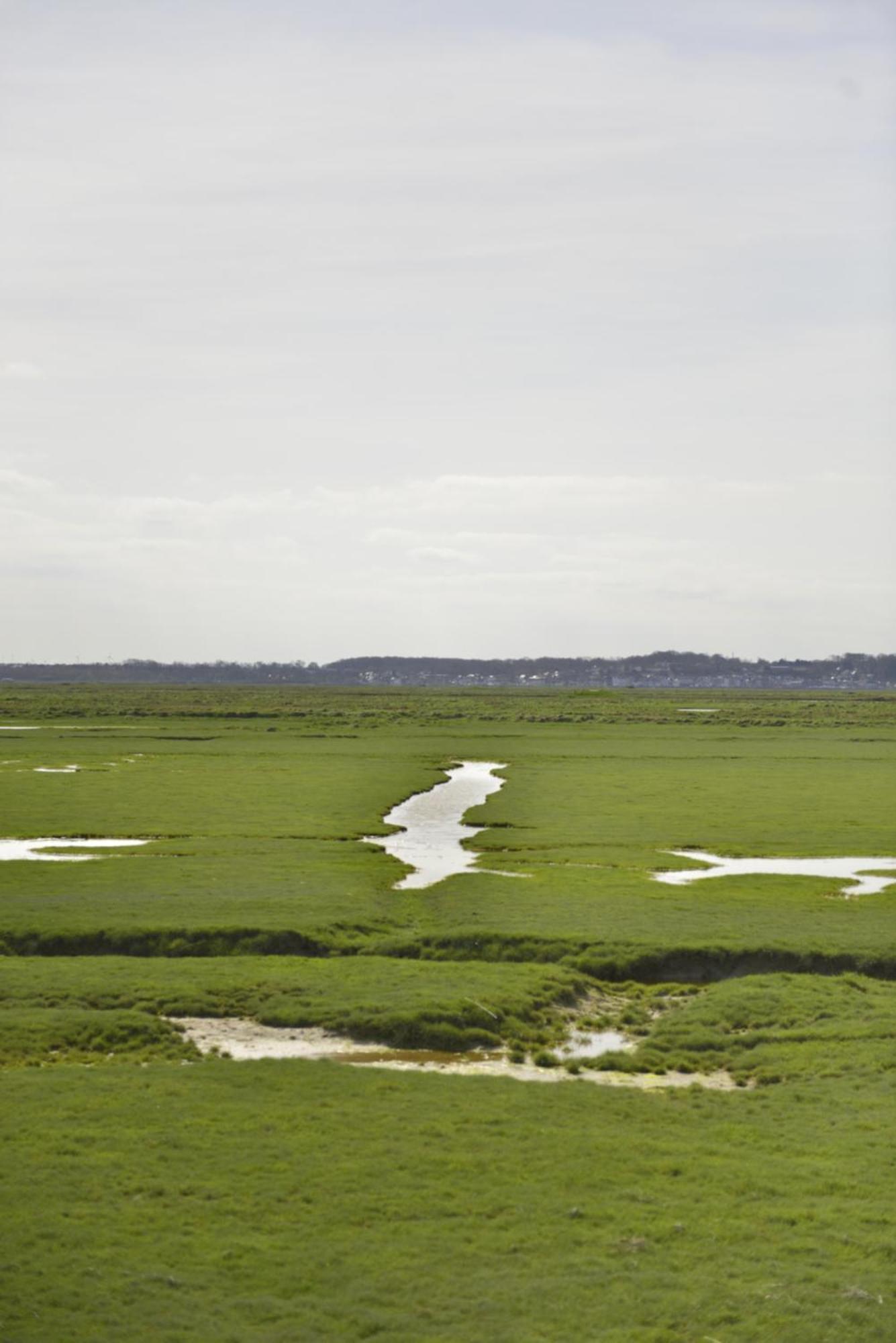 Le Cottage De La Baie - Vue Mer En Baie De Somme Woignarue Εξωτερικό φωτογραφία