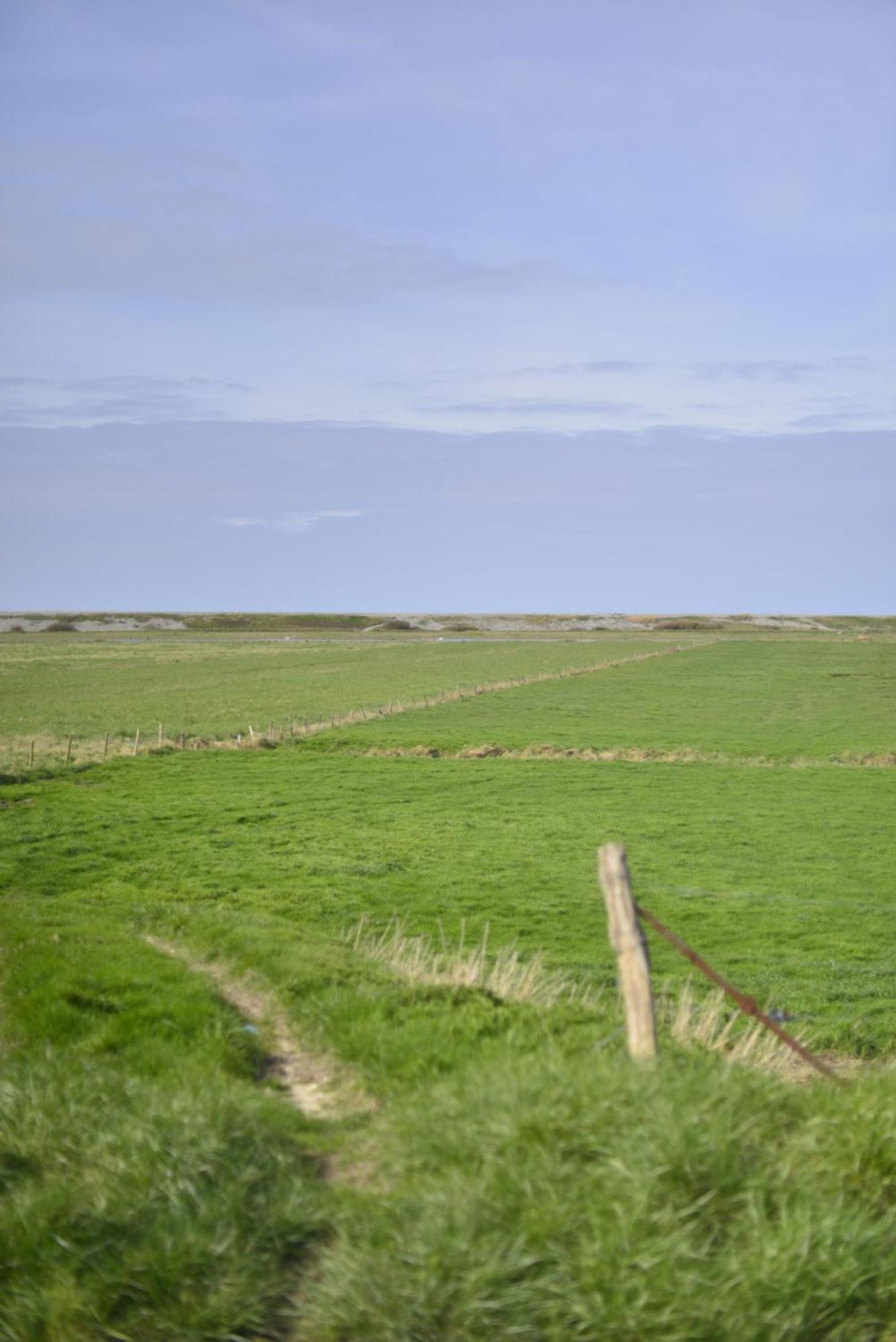 Le Cottage De La Baie - Vue Mer En Baie De Somme Woignarue Εξωτερικό φωτογραφία